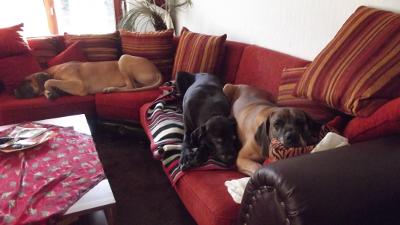 Nadesha, Jamaica und Yamboo