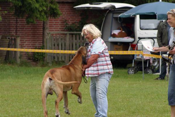 Nienburg 2009