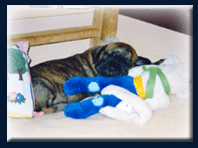 click to fullsize!