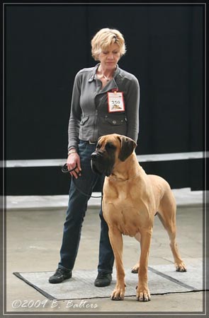 Nationale Rheinberg 2009